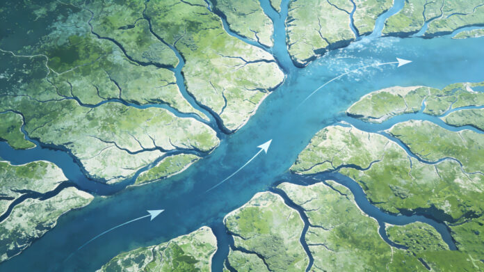 A conceptual river network illustrating venous blood flow with directional arrows and branching pathways.