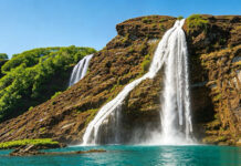 Why CHIVA is the Smarter Choice for Dual-Channel Reflux (GSV + AASV) GSV + AASV