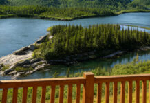 The Cost of Losing the Great Saphenous Vein in Post-Thrombotic Limbs